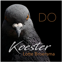 Albumhoes DO — Lotte Broersma